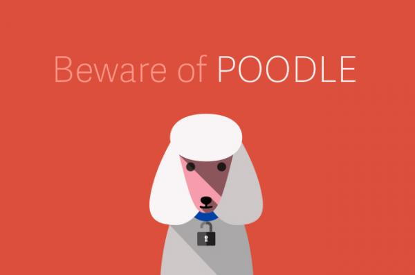 آسیب‌پذیری poodle